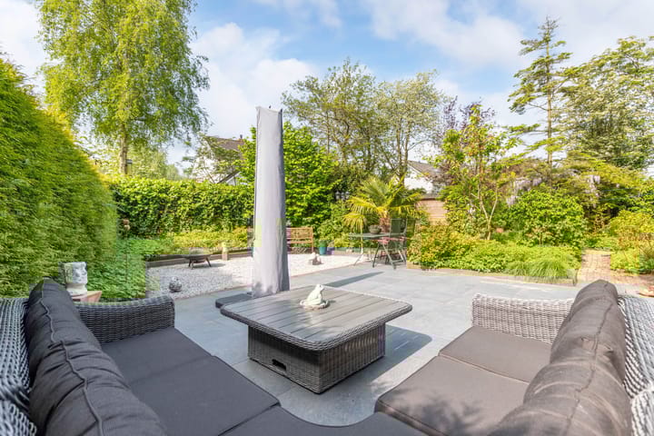 Foto 22 van de Tureluur 1