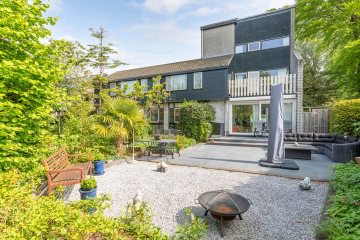 Foto 23 van de Tureluur 1