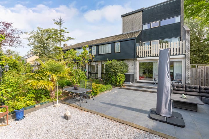 Foto 24 van de Tureluur 1