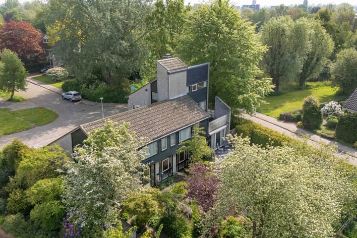 Foto 25 van de Tureluur 1