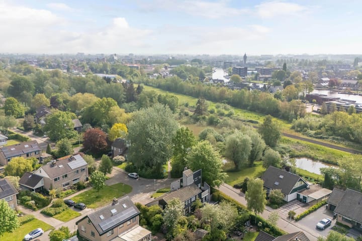 Foto 26 van de Tureluur 1