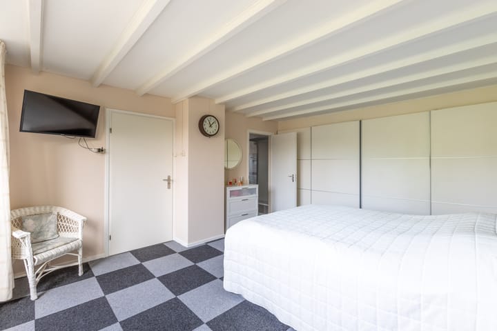 Foto 30 van de Tureluur 1