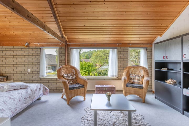 Foto 37 van de Tureluur 1