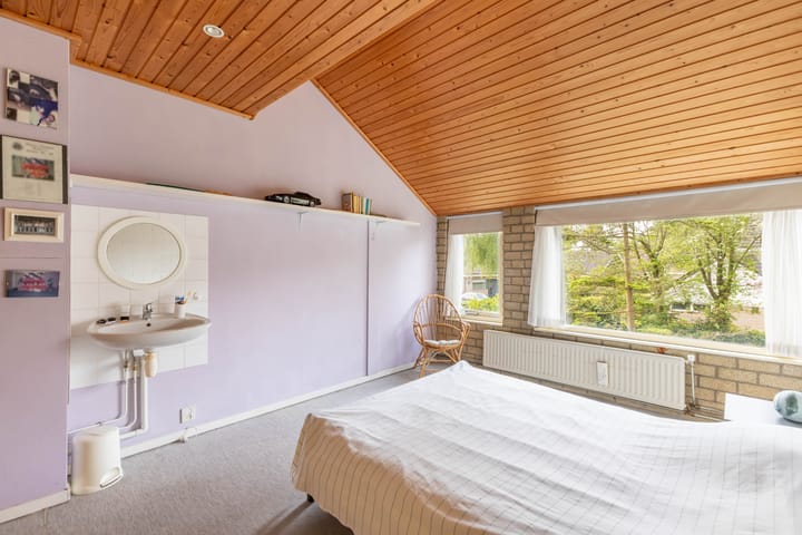 Foto 38 van de Tureluur 1