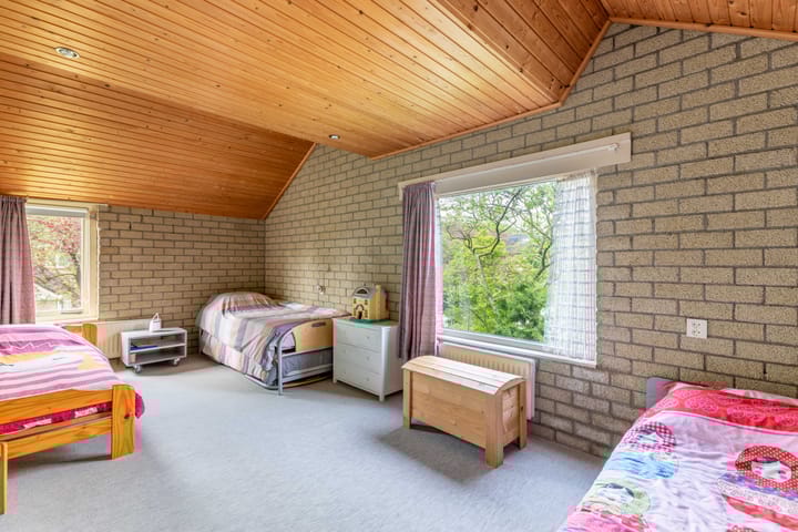 Foto 39 van de Tureluur 1