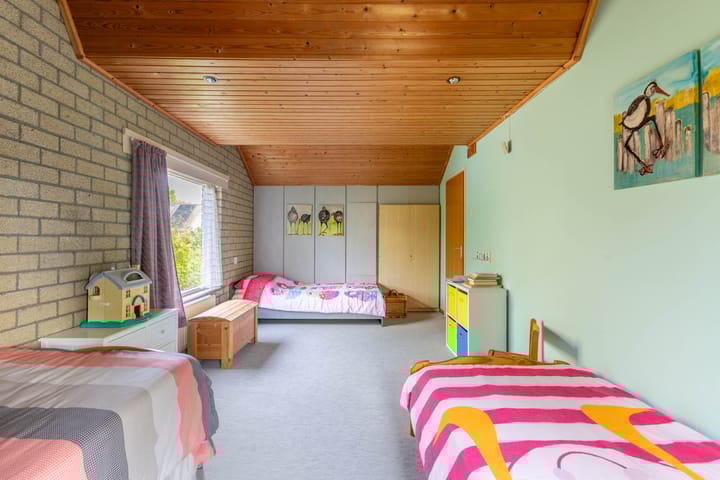 Foto 40 van de Tureluur 1