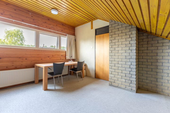 Foto 42 van de Tureluur 1