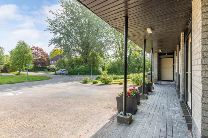 Foto 43 van de Tureluur 1