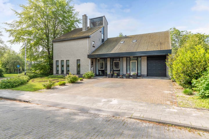 Foto 44 van de Tureluur 1