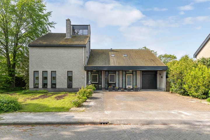 Foto 45 van de Tureluur 1