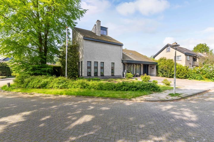 Foto 46 van de Tureluur 1