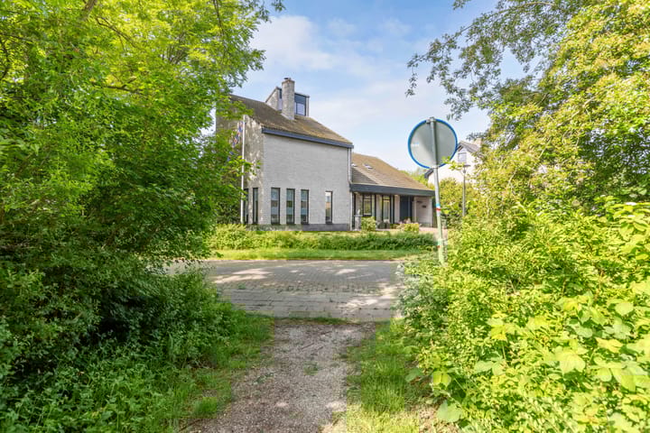 Foto 47 van de Tureluur 1