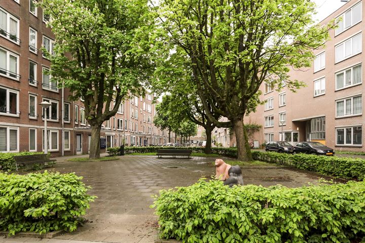 Bekijk foto 18 van Niasstraat 34-F