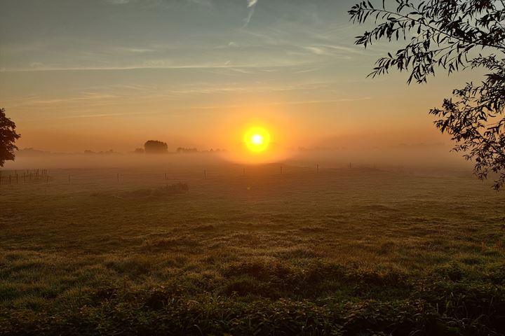 Bekijk foto 3 van Vlaardingsekade 52