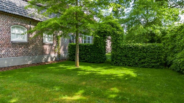 Foto 12 van Beukenhaag 1-A