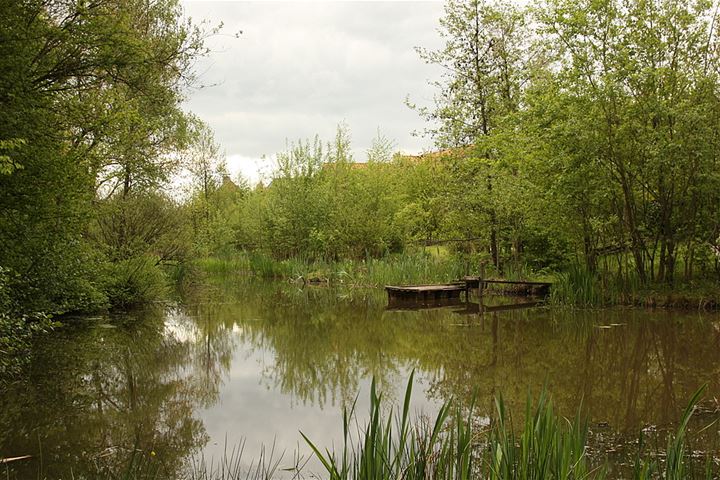 Bekijk foto 40 van Zwanebloem 7