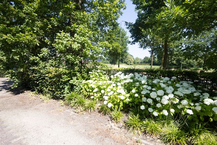 View photo 50 of Bredaseweg 57