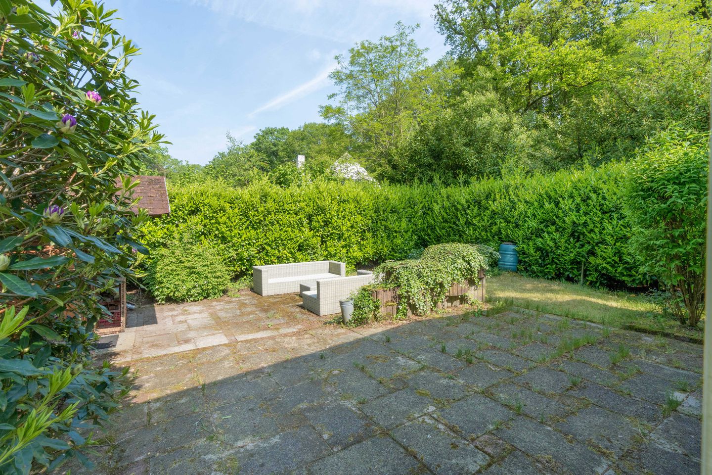 Foto 10 van Kievit 12-B402