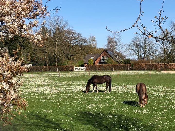 A promotional picture for the office