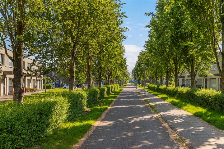 Bekijk foto 20 van Mantegnaplantsoen 16