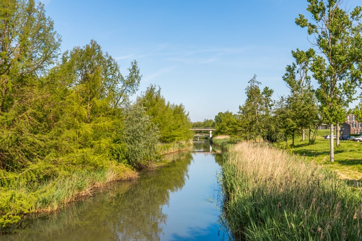 Bekijk foto 21 van Mantegnaplantsoen 16