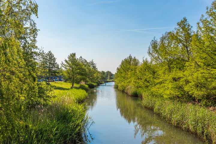 Bekijk foto 22 van Mantegnaplantsoen 16