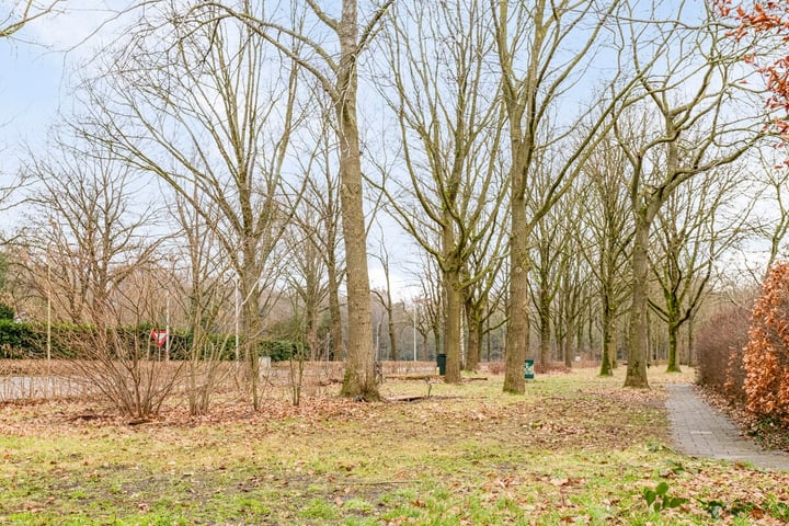 View photo 38 of Vogelweide 89