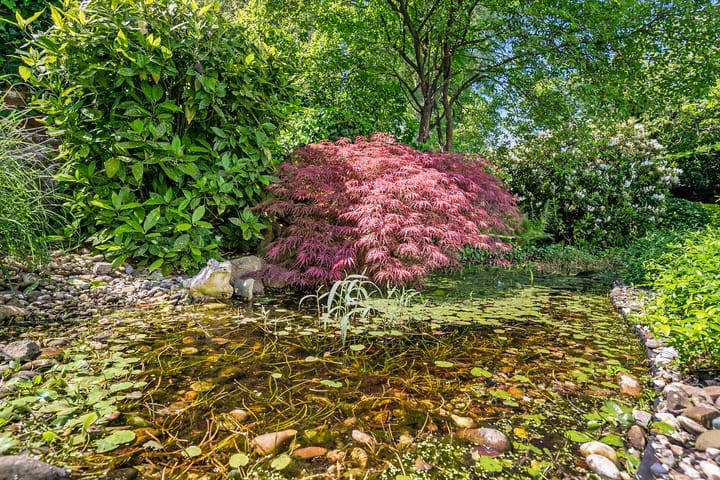 Foto 57 van Bosstraat 15