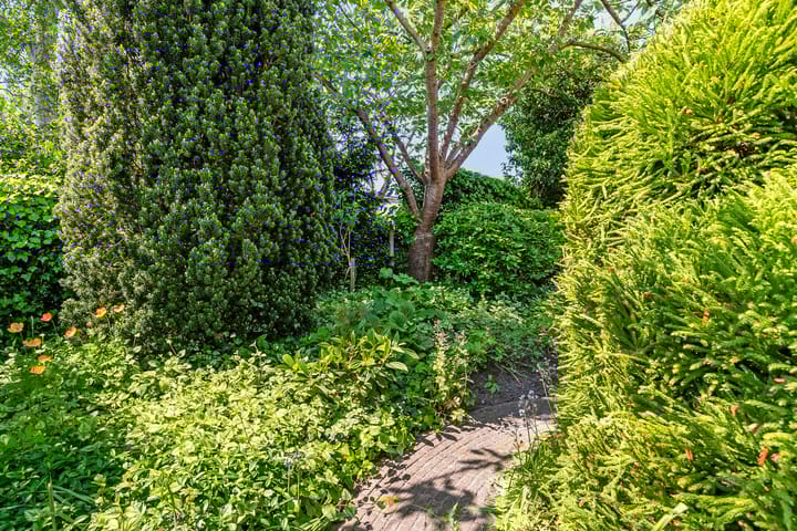 Foto 61 van Bosstraat 15