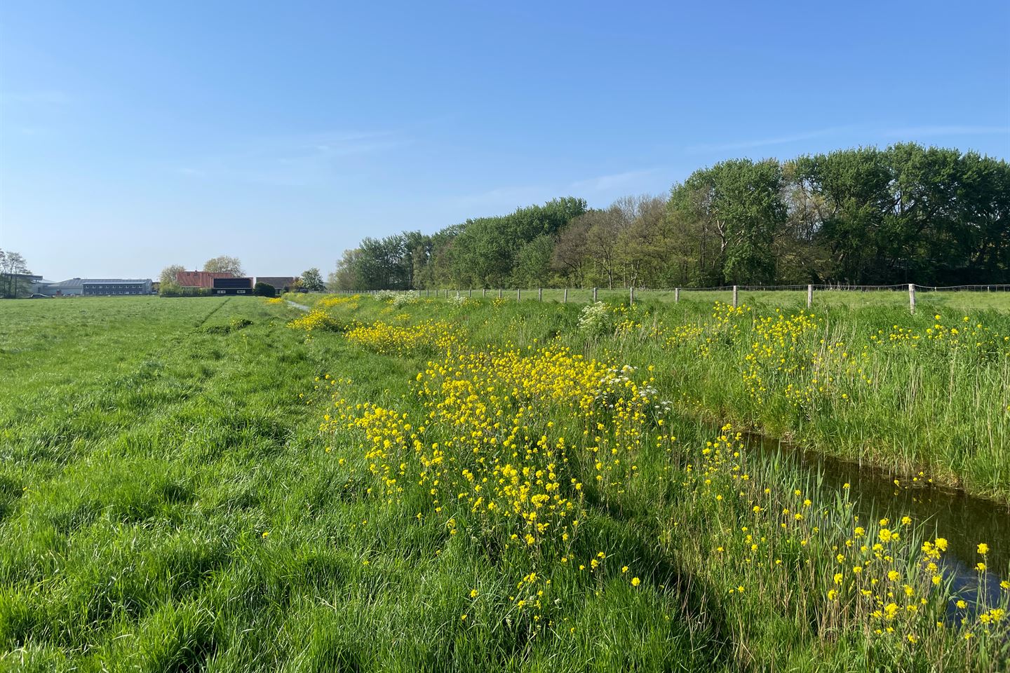 Bekijk foto 3 van Korte Belkmerweg