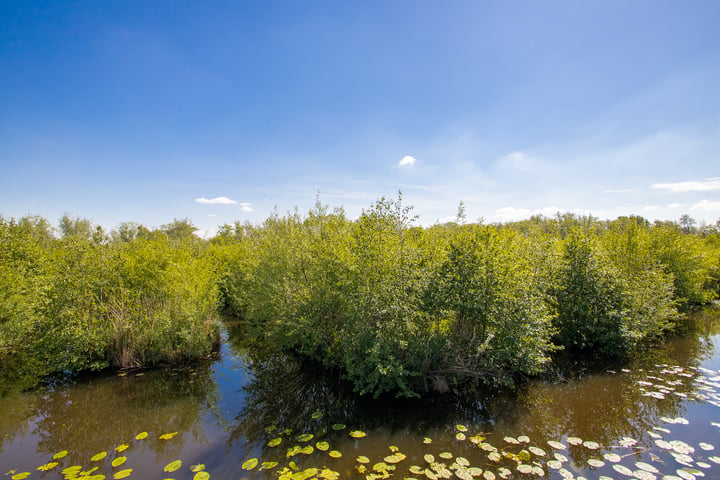 Bekijk foto 77 van Zouwendijk 2-B