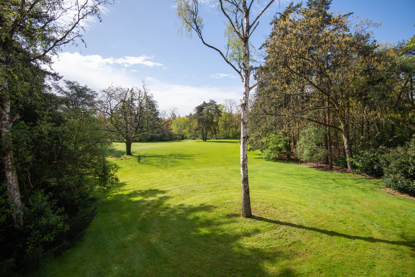 Foto 5 van Bredaseweg 507