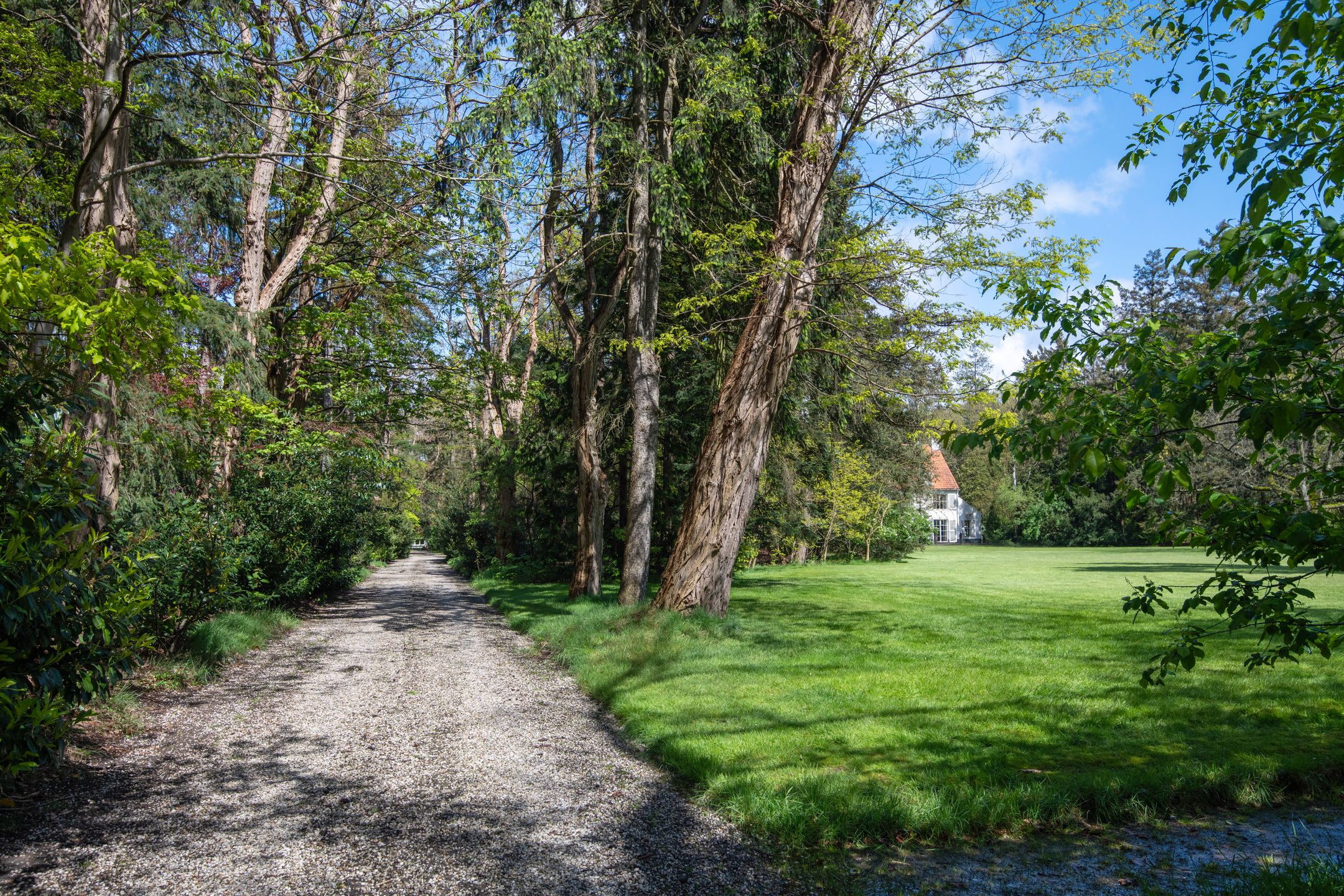 Foto 6 van Bredaseweg 507