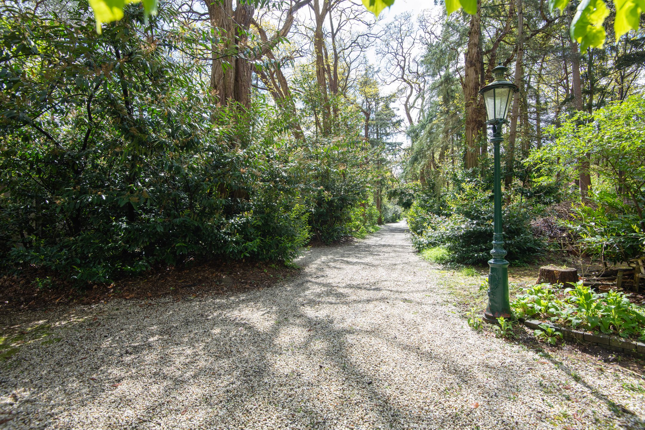 Foto 42 van Bredaseweg 507