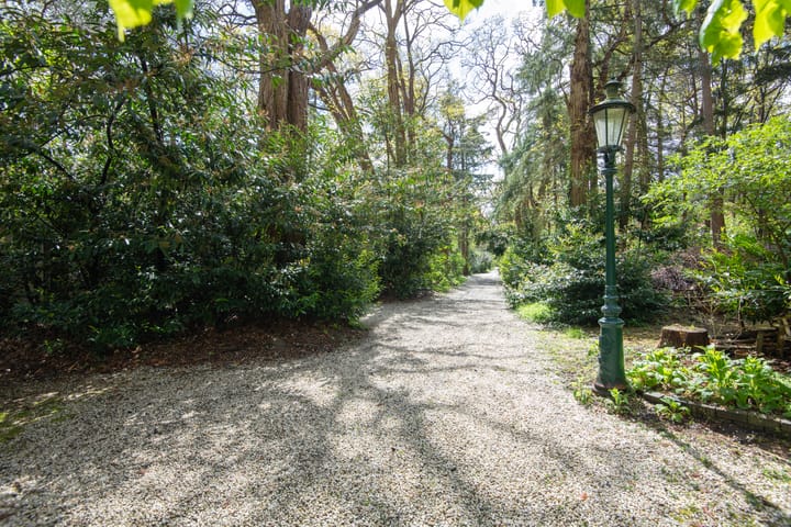 Foto 42 van Bredaseweg 507