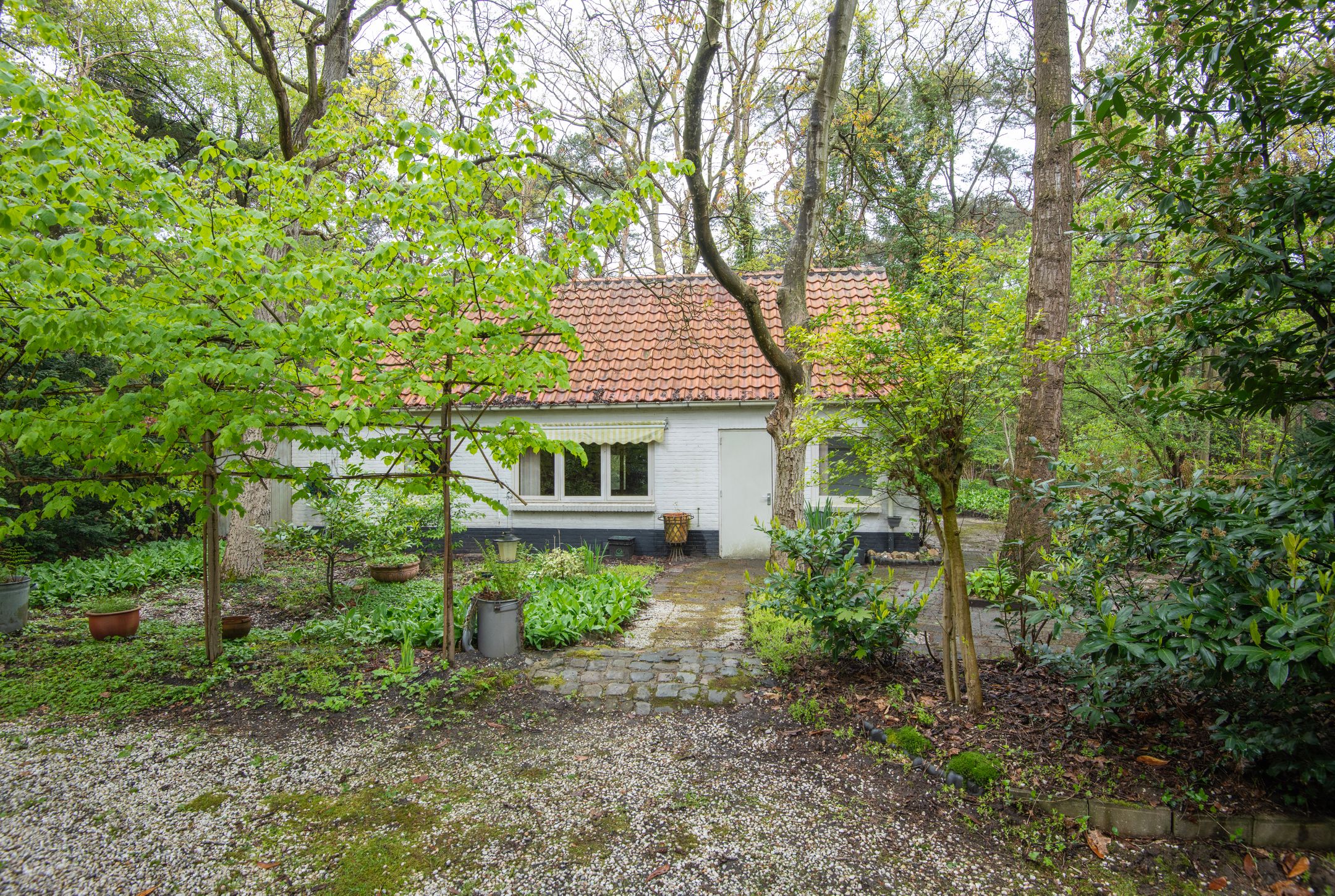 Foto 45 van Bredaseweg 507