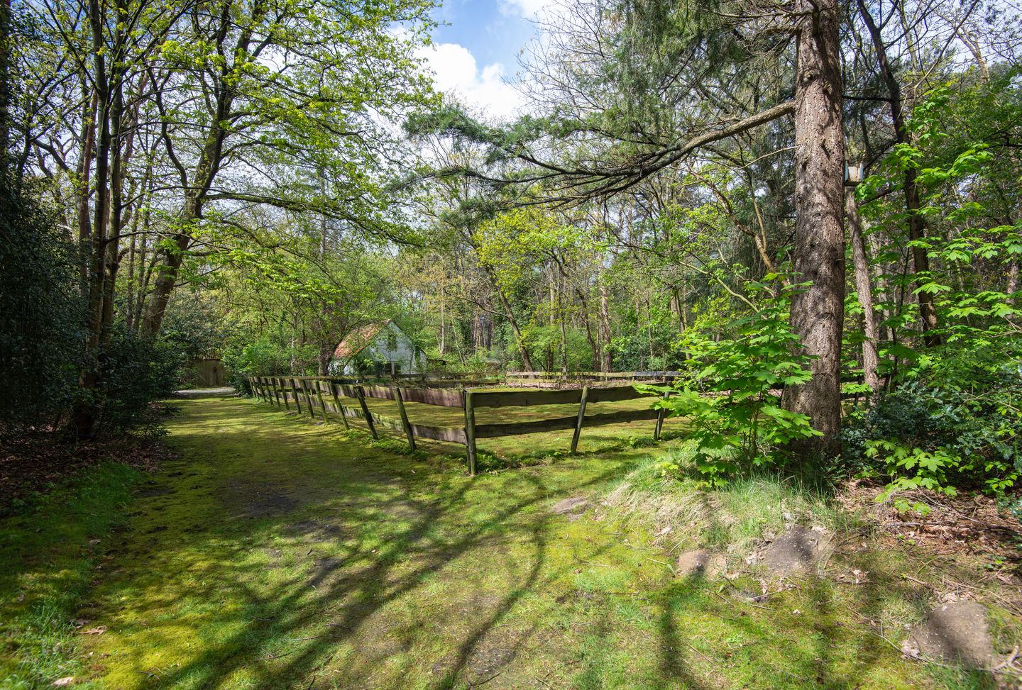 Foto 49 van Bredaseweg 507