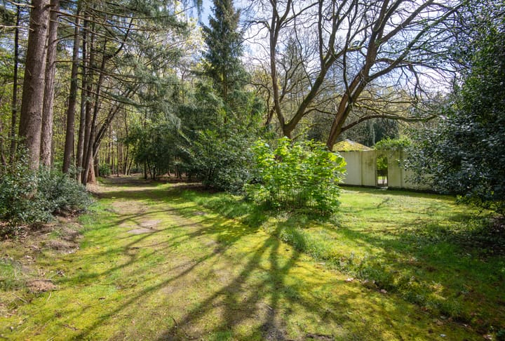 Foto 50 van Bredaseweg 507