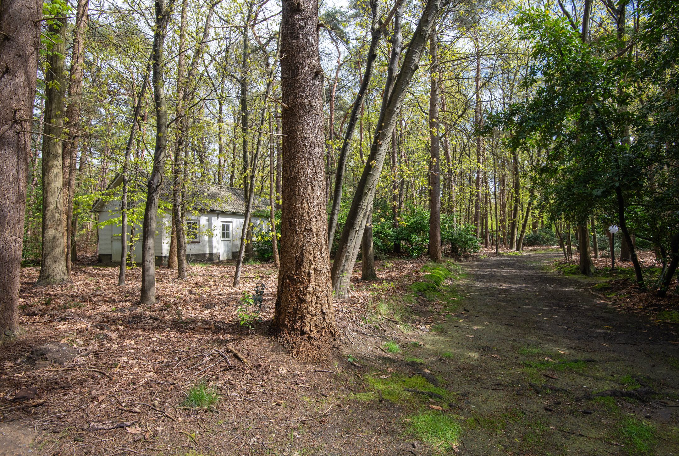 Foto 3 van Bredaseweg 507