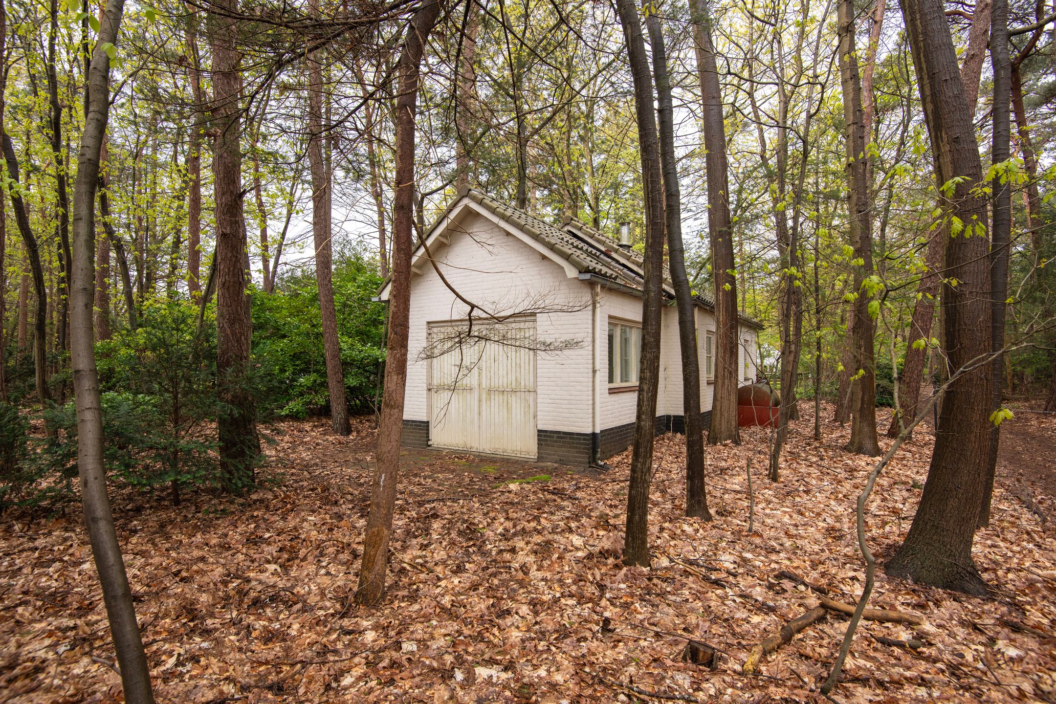 Foto 51 van Bredaseweg 507