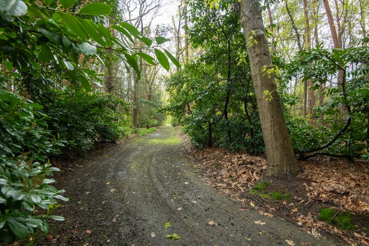 Foto 52 van Bredaseweg 507