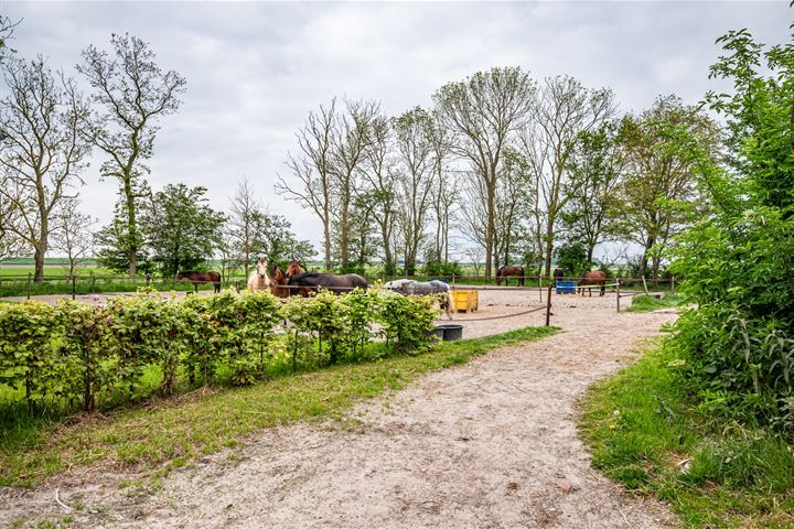 View photo 52 of Westermeerweg 55