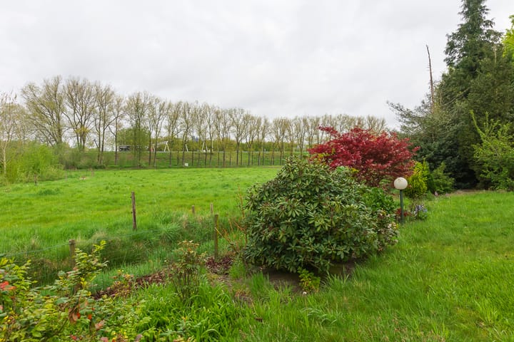 Photo 35 of Torentjeshoeve 1