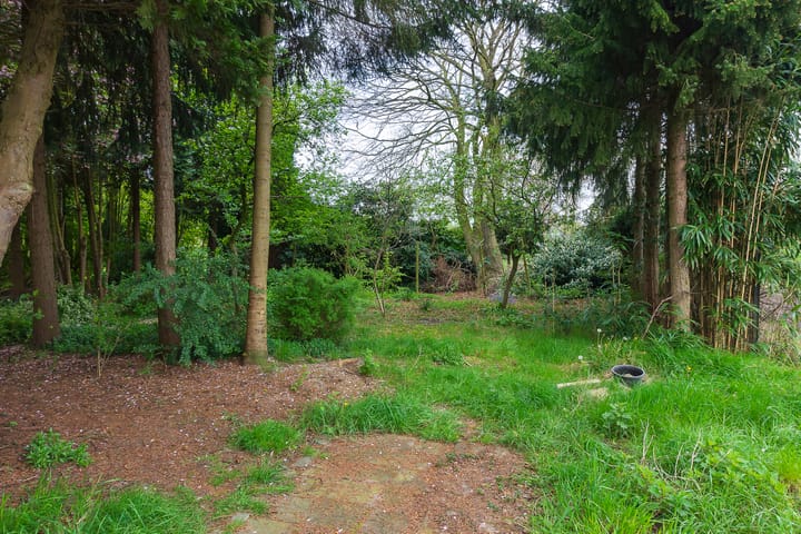Photo 37 of Torentjeshoeve 1