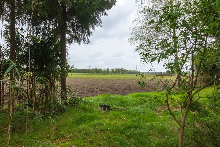 Photo 38 of Torentjeshoeve 1