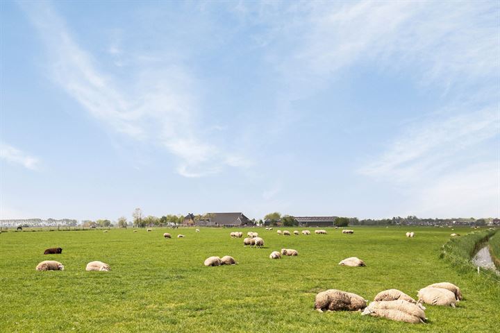 Bekijk foto 46 van Spanjaardsdijk Zuid 1