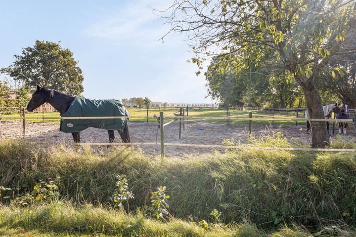 Bekijk foto 20 van Wilhelminaweg 21