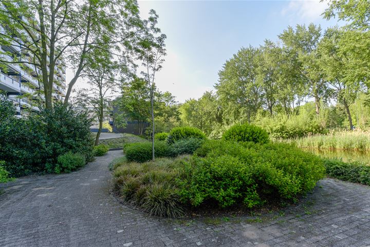 Bekijk foto 33 van De Brink 252