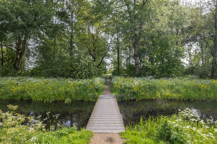 Bekijk foto 44 van Koningsmantelstraat 7