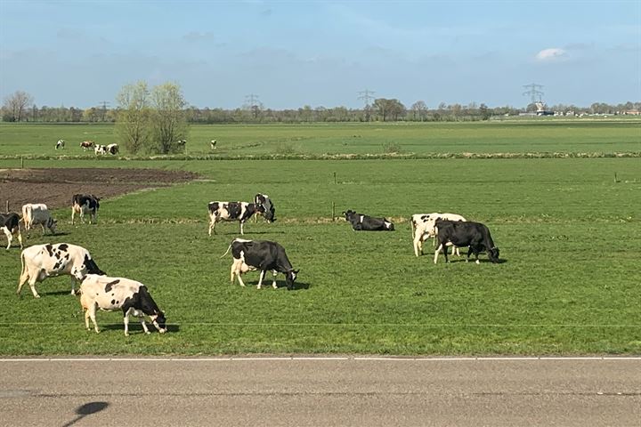 Bekijk foto 27 van Koningin Wilhelminaweg 249